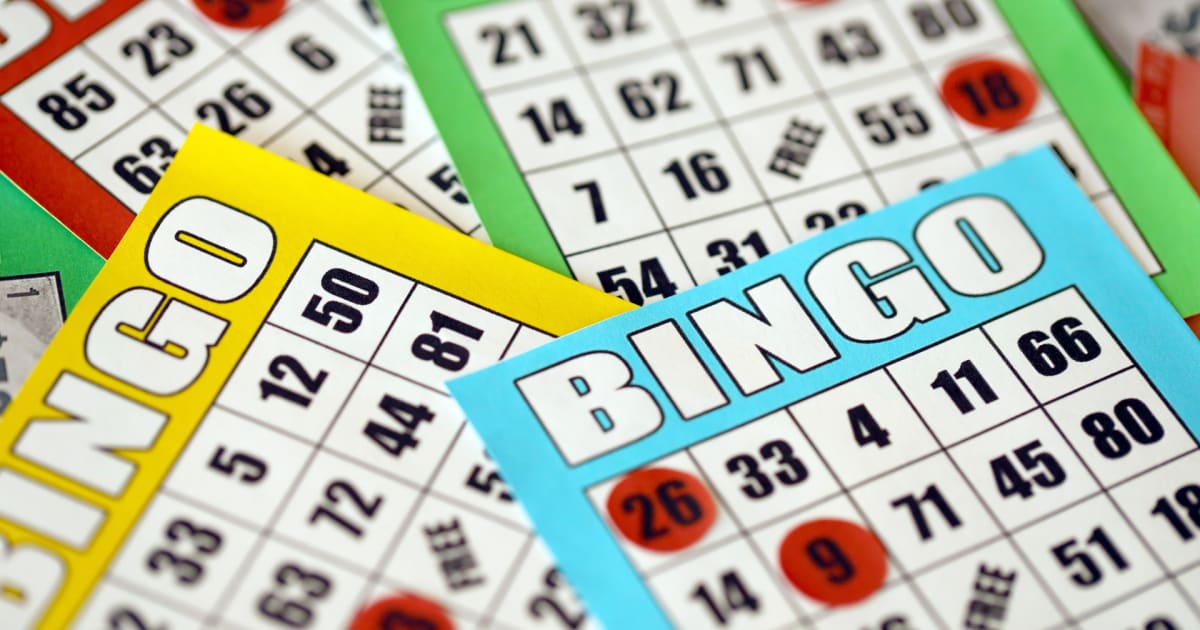 Lär dig hur man spelar bingo online